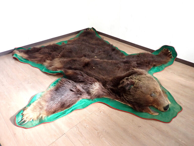 熊 ラグマット 2350×2200×160mm 昭和51年 クマ 毛皮 哺乳類 絨毯 敷物 敷布 カーペット 剥製 頭部 爪 インテリア レトロ アンティーク